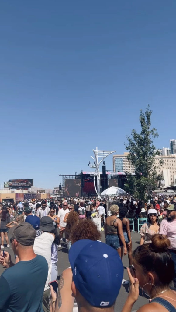 crowds at the festival