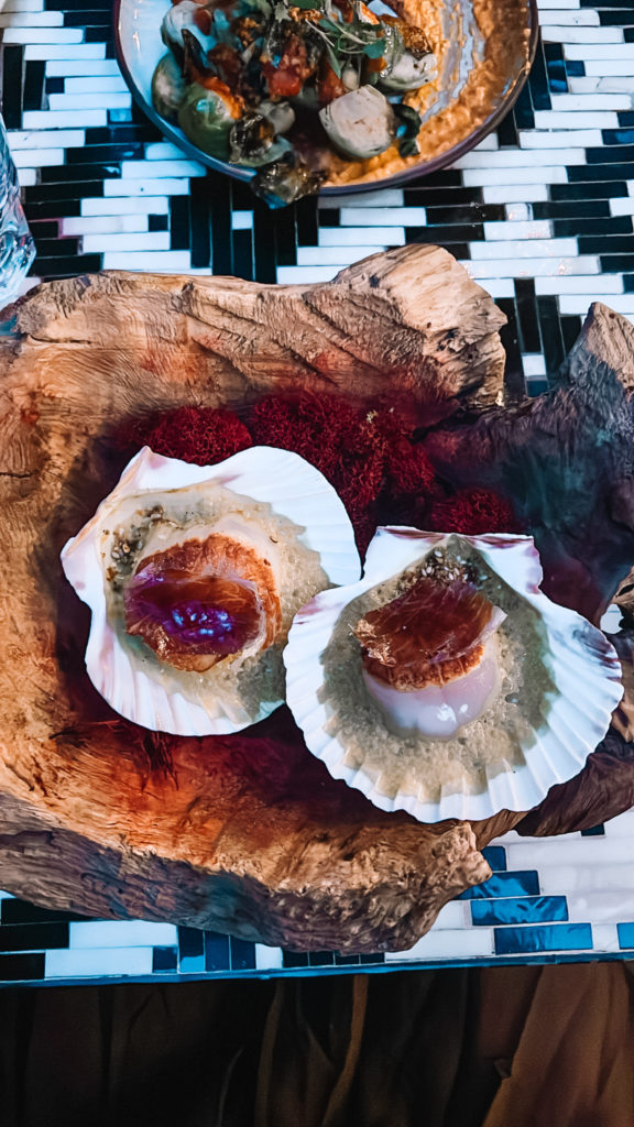 scallops