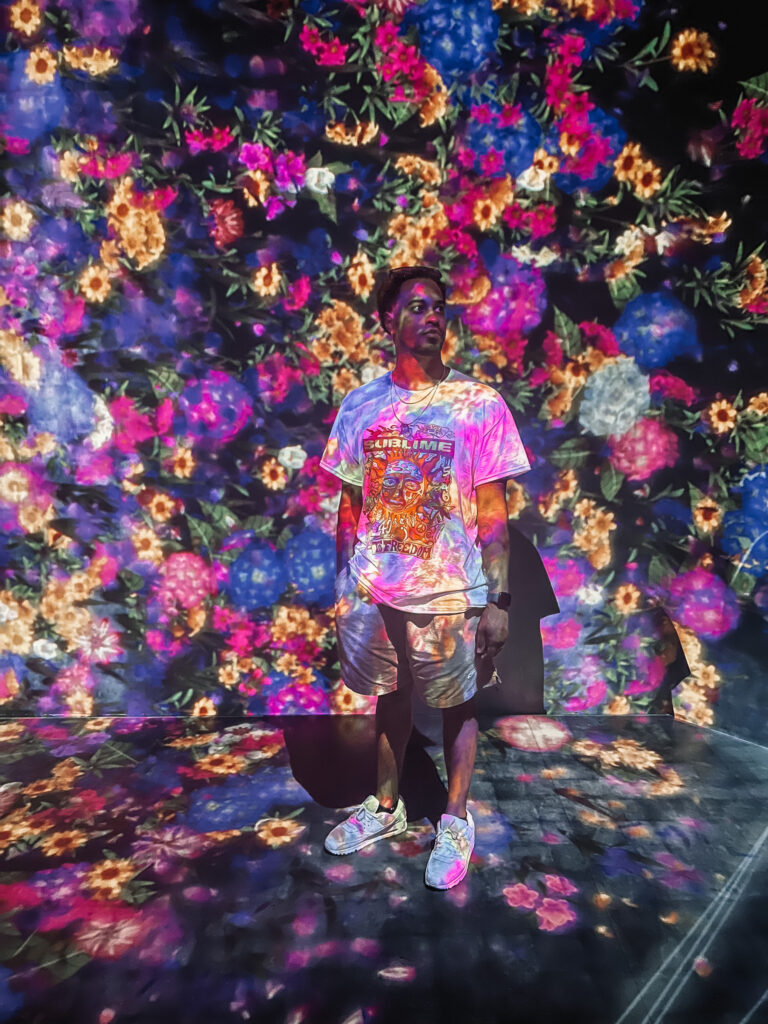 mike flower exhibit at superblue in miami in february