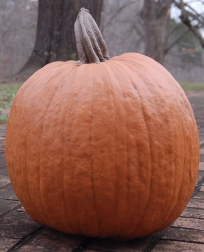 faux pumpkins
